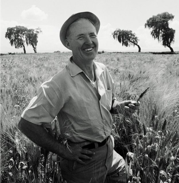 Norman Borlaug (1914-2009)